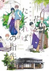 Hana wo Tadoreba Kimi no Yubisaki