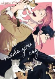 Nakasete Yaru yo Yankee-kun